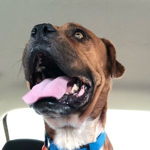 Meet your Posher, Johnatan